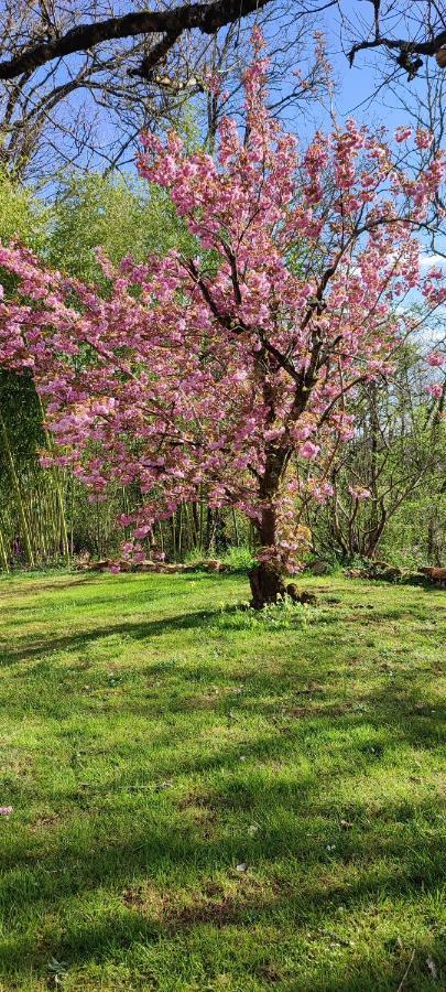 Aux Couleurs D'Esteil Sainte-Nathalène Buitenkant foto
